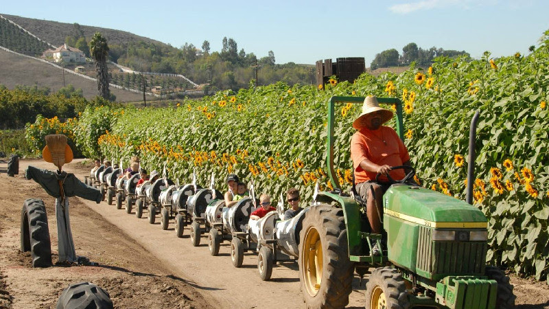 FarmBox LA apple orchard in Beverly Hills, California