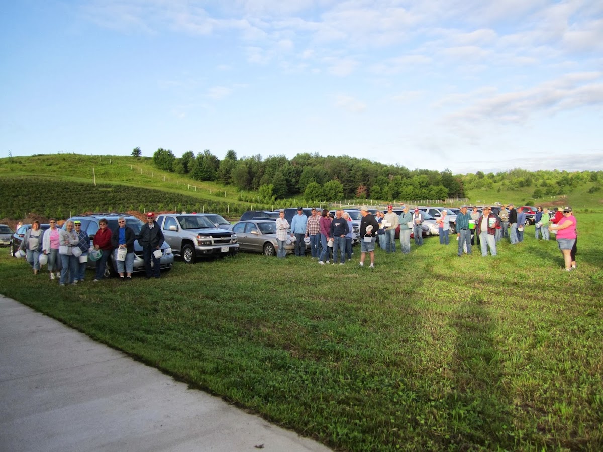 Blueberry Ridge Orchard apple orchard in Eleva, Wisconsin