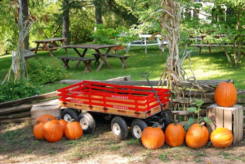 Deardorff Orchards & Vineyard apple orchard in Waconia, Minnesota