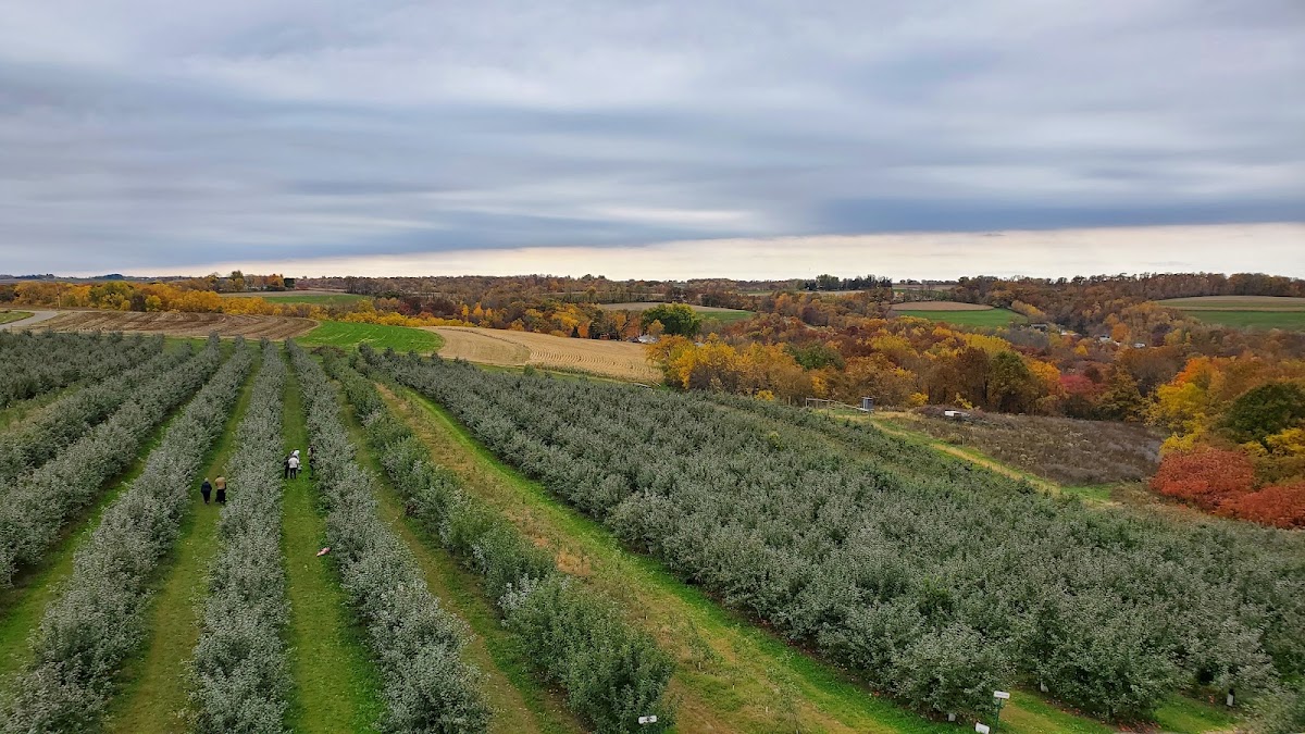 Honey Ridge Apple Farm apple orchard in Hillsboro, Wisconsin