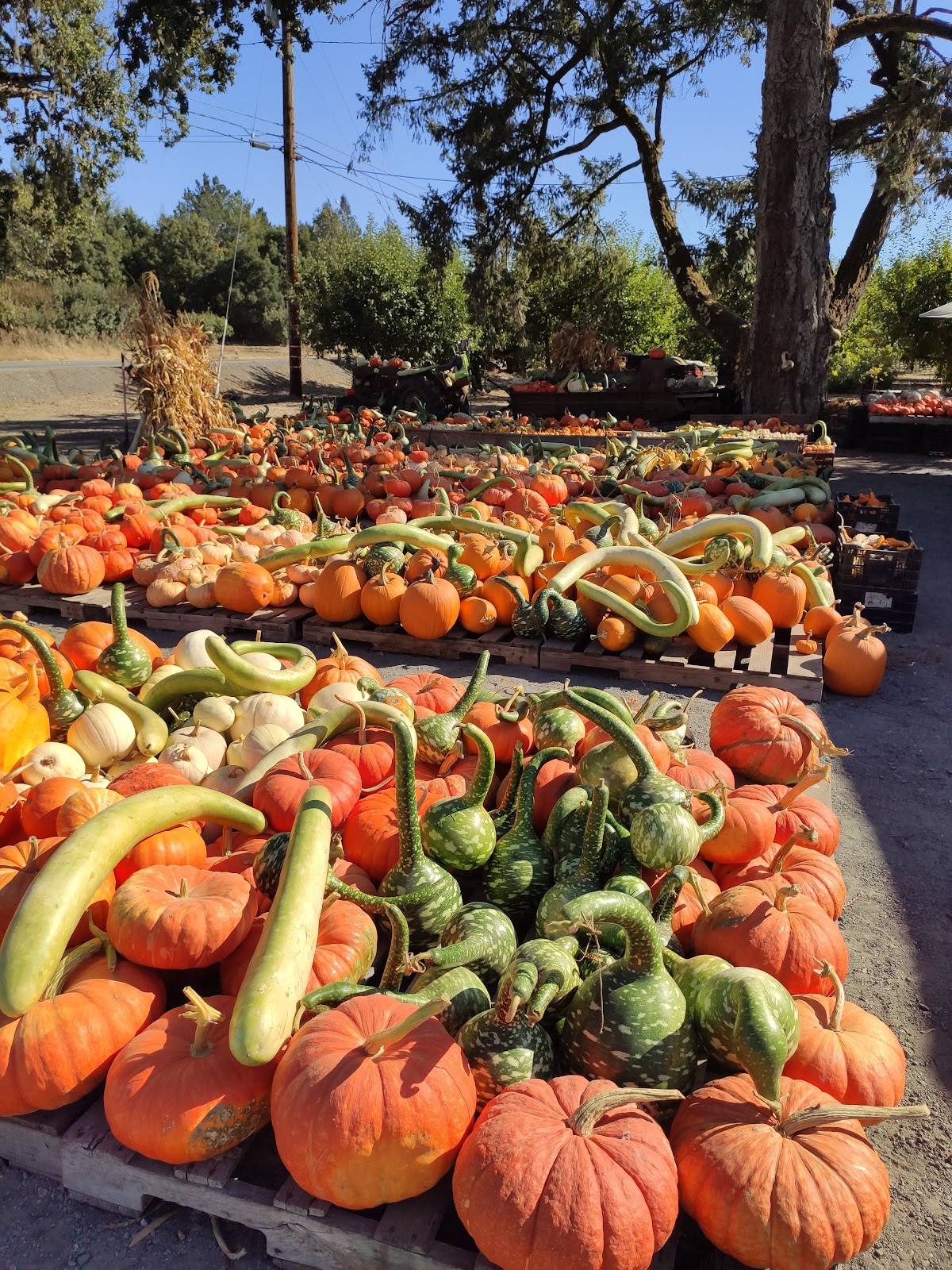 Hale's Apple Farm apple orchard in Sebastopol, California