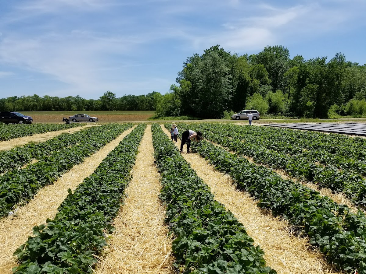 DeWolf’s U-Pick Farm apple orchard in New Egypt, New Jersey