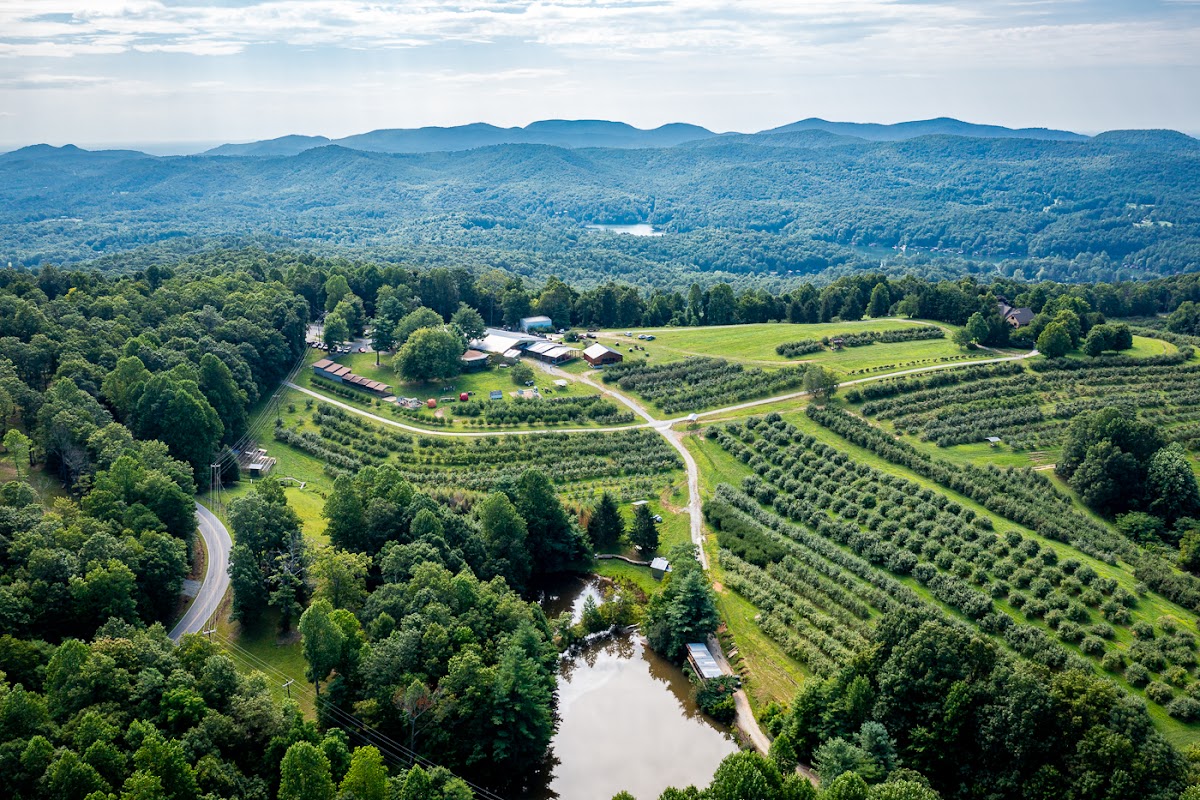 Sky Top Orchard apple orchard in Flat Rock, North Carolina