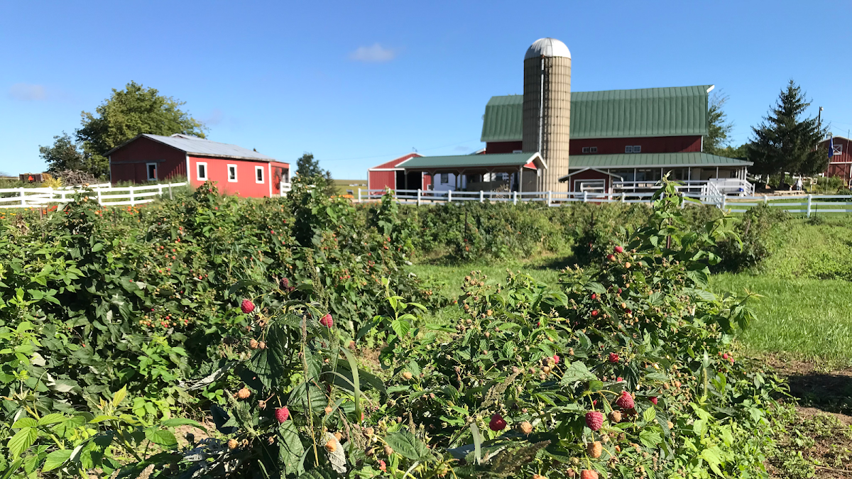 Eplegaarden Orchard apple orchard in Fitchburg, Wisconsin