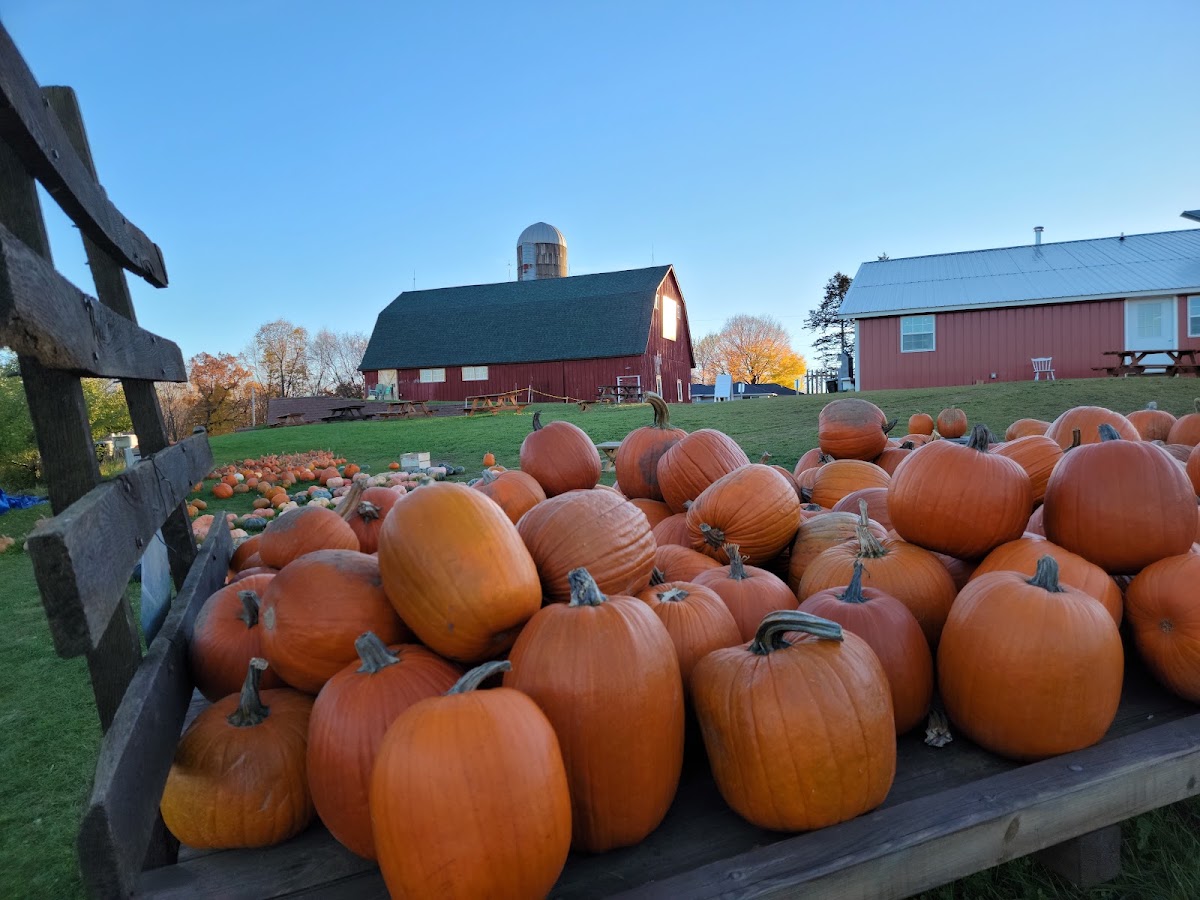 Pleasant Valley Orchard apple orchard in Taylors Falls, Minnesota