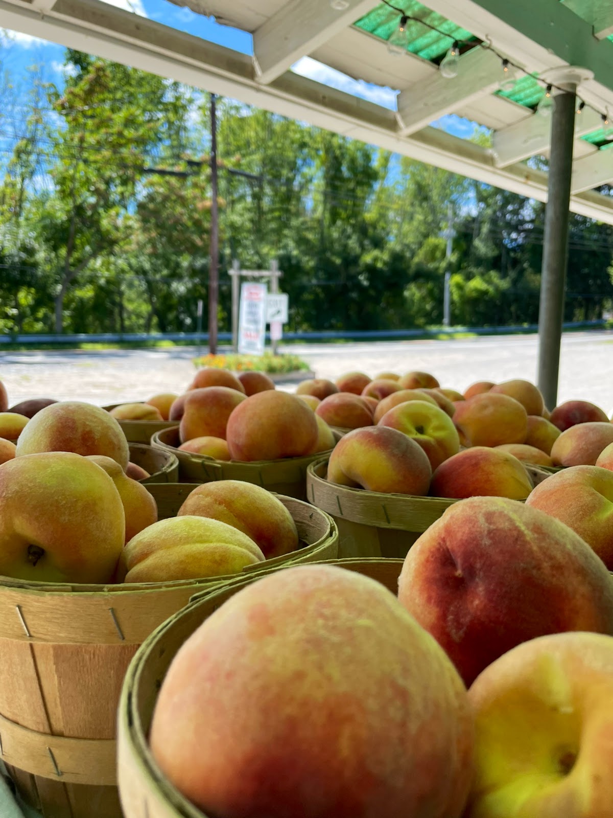 Parks Farms apple orchard in Chester, New Jersey
