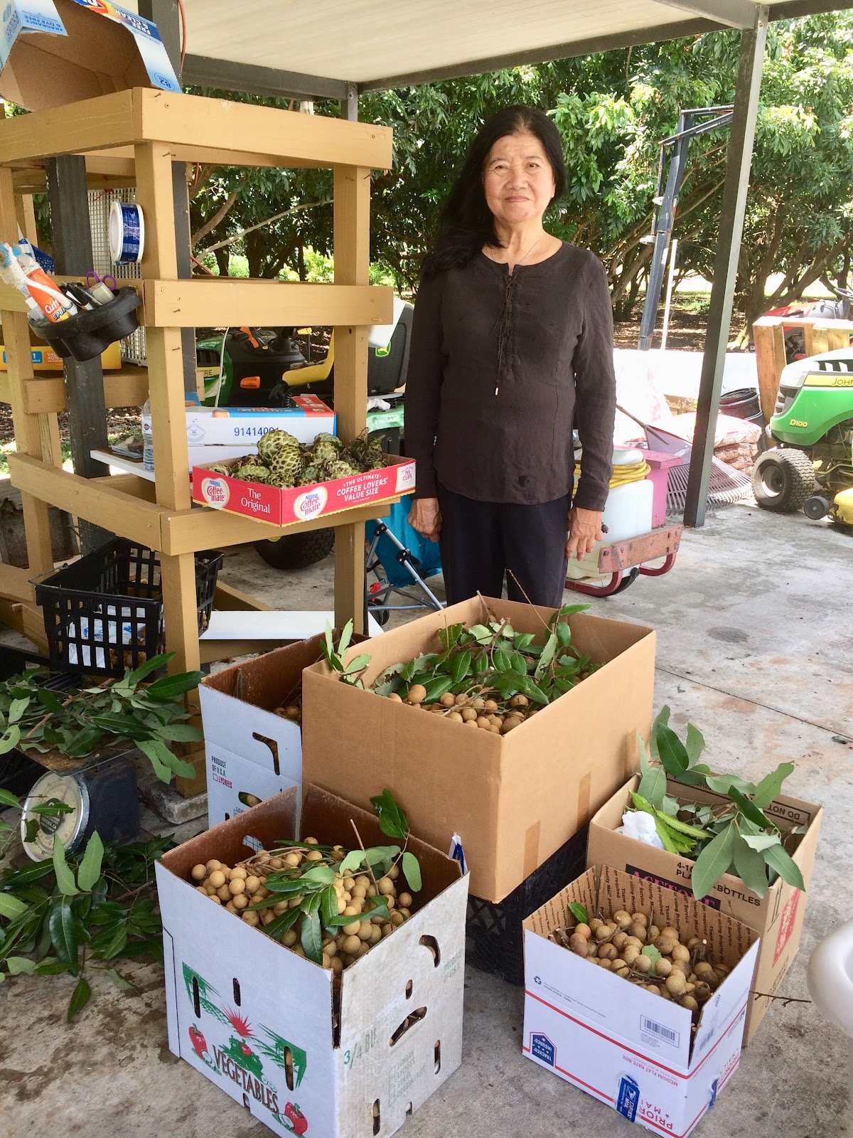 Turtle Box Market apple orchard in Miami, Florida