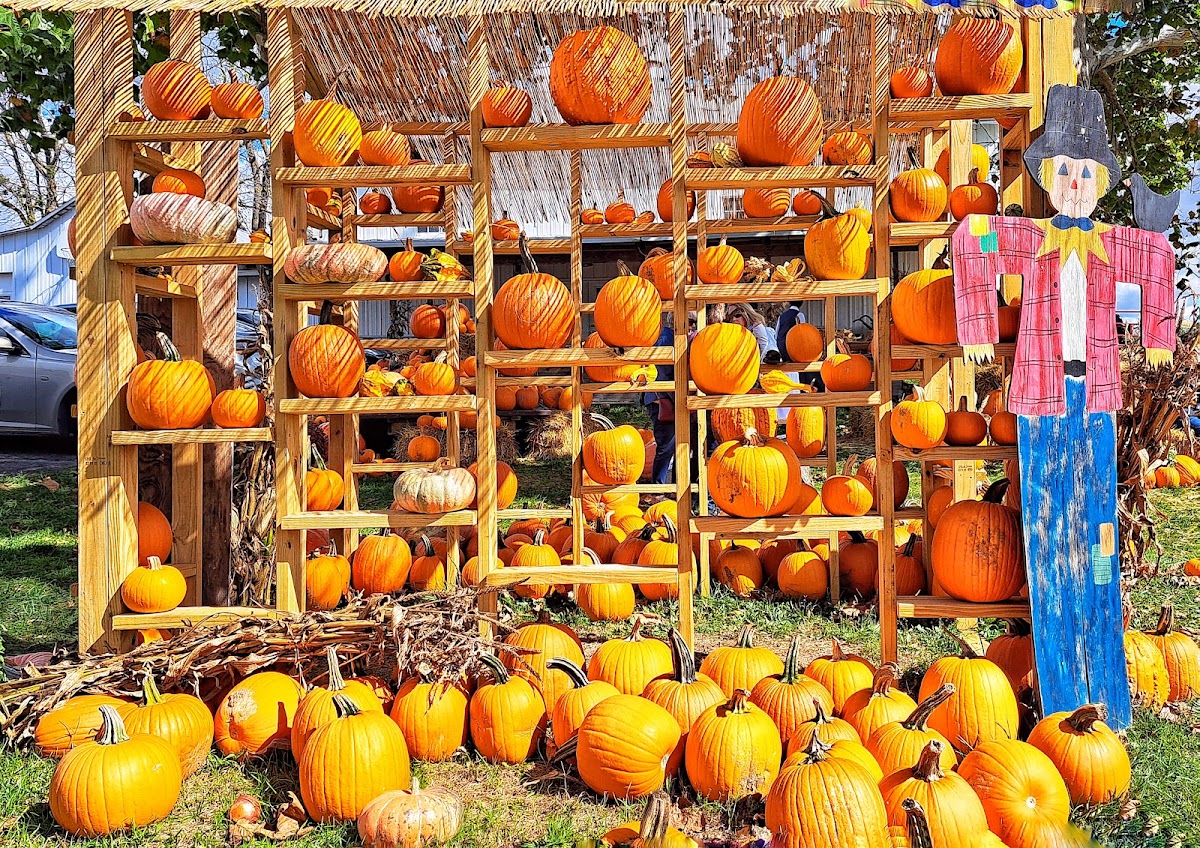 Weslers Orchard apple orchard in New Paris, Ohio