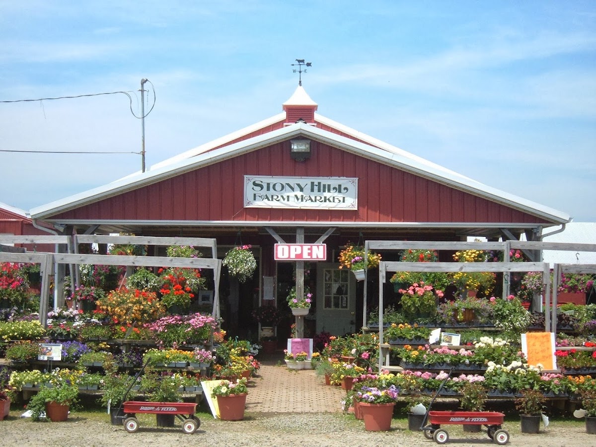 Stony Hill Farms apple orchard in Chester, New Jersey