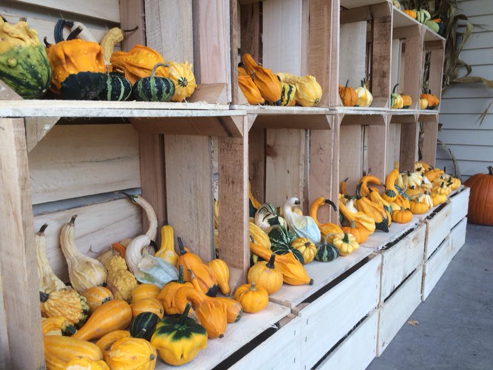 Keppers Pottery and Produce apple orchard in Turtle Lake, Wisconsin