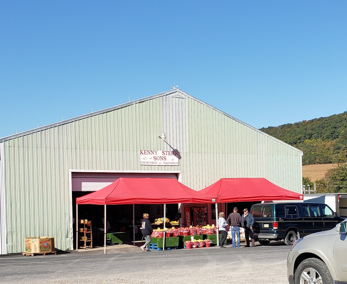 Kenny Stehr and Sons Farm apple orchard in Pitman, Pennsylvania
