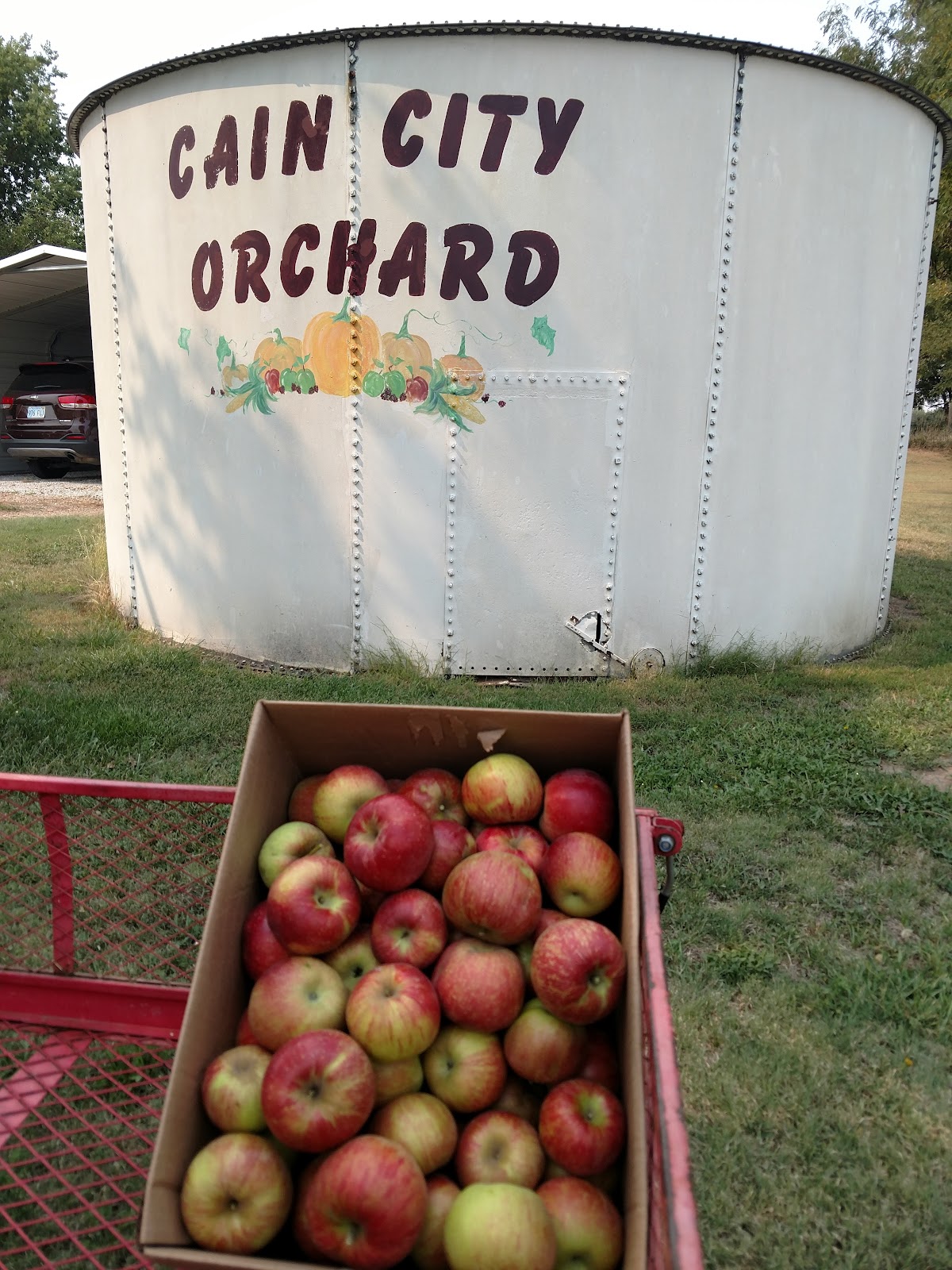 Cain City Orchard apple orchard in Bushton, Kansas