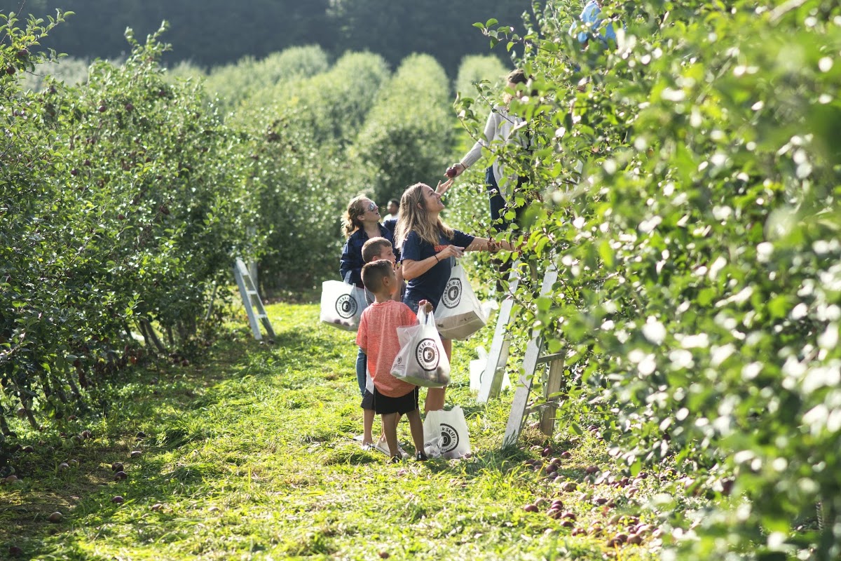 Beak & Skiff Orchards apple orchard in LaFayette, New York