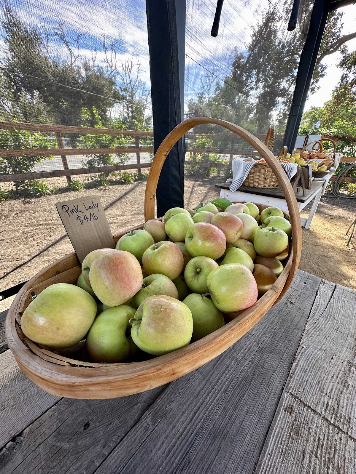 The Yard Orchard & Co apple orchard in Solvang, California