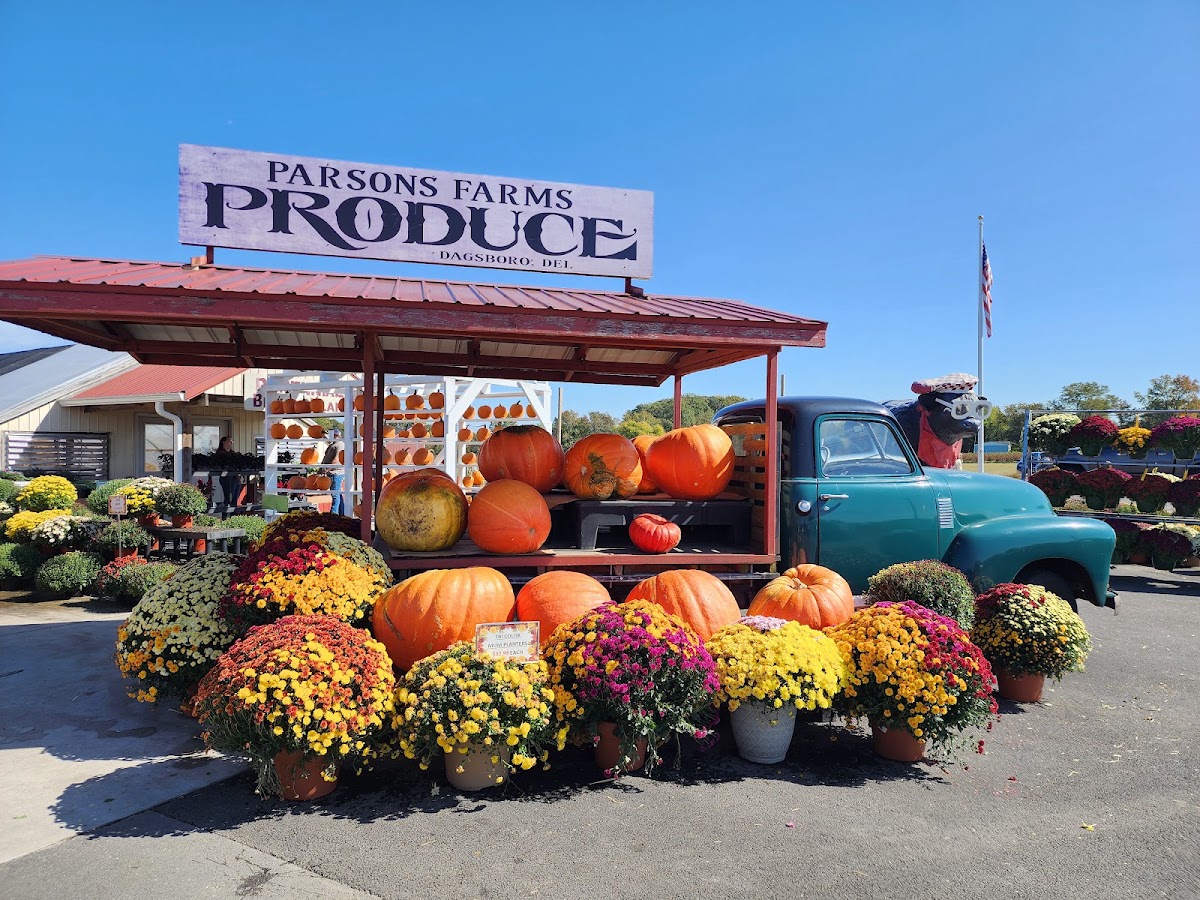 Parsons Farm Produce apple orchard in Dagsboro, Delaware