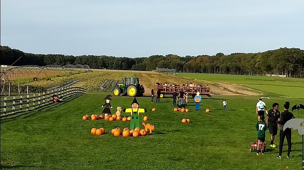 Stults Farm apple orchard in Plainsboro Township, New Jersey