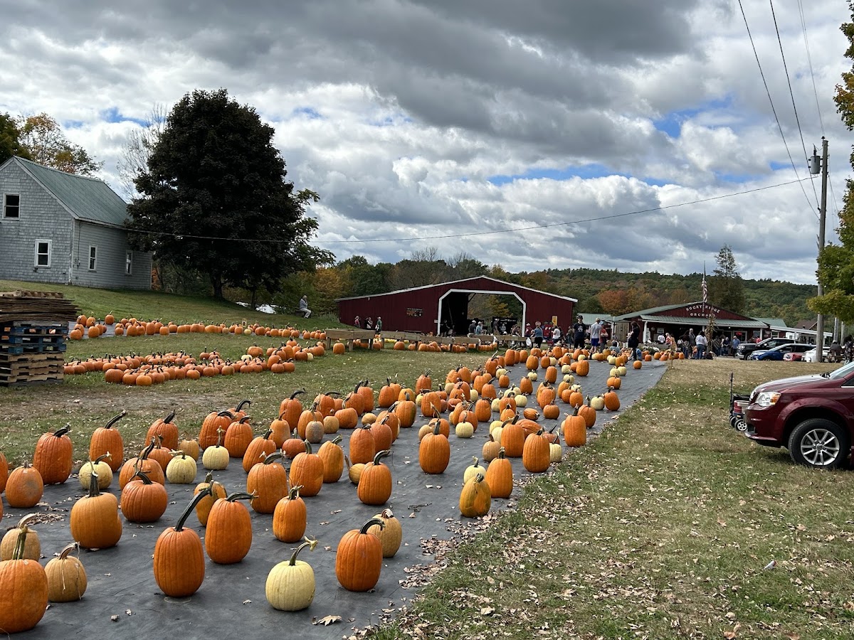Rocky Ridge Orchard and Bakery apple orchard in Bowdoin, Maine