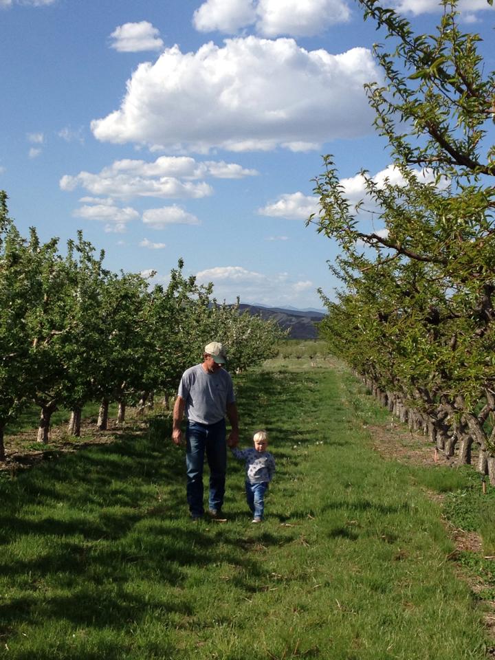 Kelley Orchards apple orchard in Weiser, Idaho