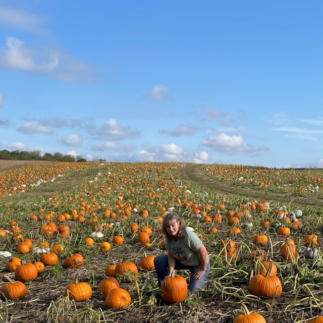 Sutters Ridge Orchard apple orchard in Mount Horeb, Wisconsin