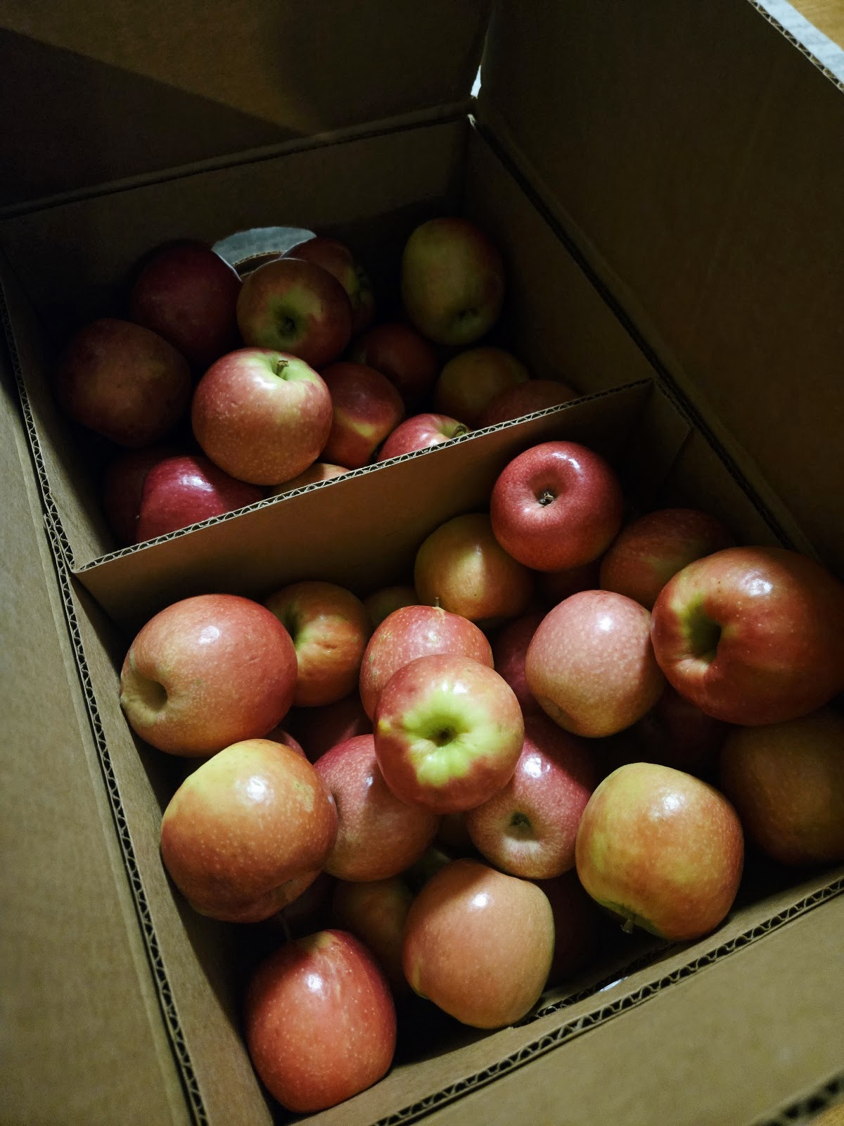 Fitzgerald’s Orchard apple orchard in Tyro, Virginia