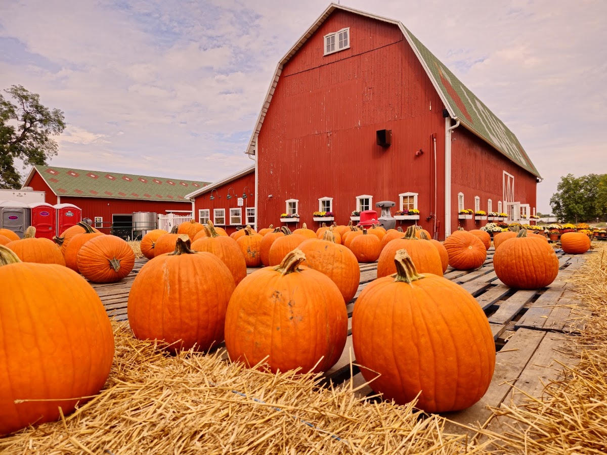 Long Family Orchard & Cider Mill - apple orchard in Commerce Charter Township, Michigan