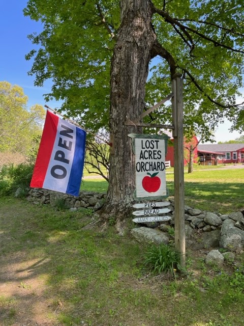 Lost Acres Orchard apple orchard in North Granby, Connecticut