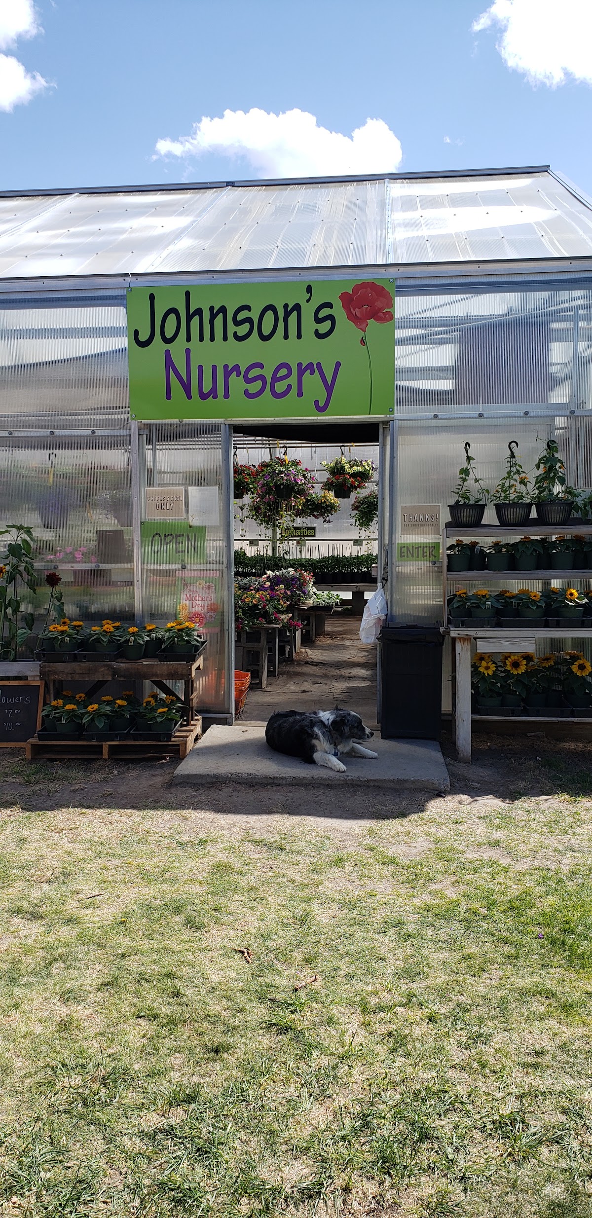 Johnson's Nursery & Gardens apple orchard in Helena, Montana