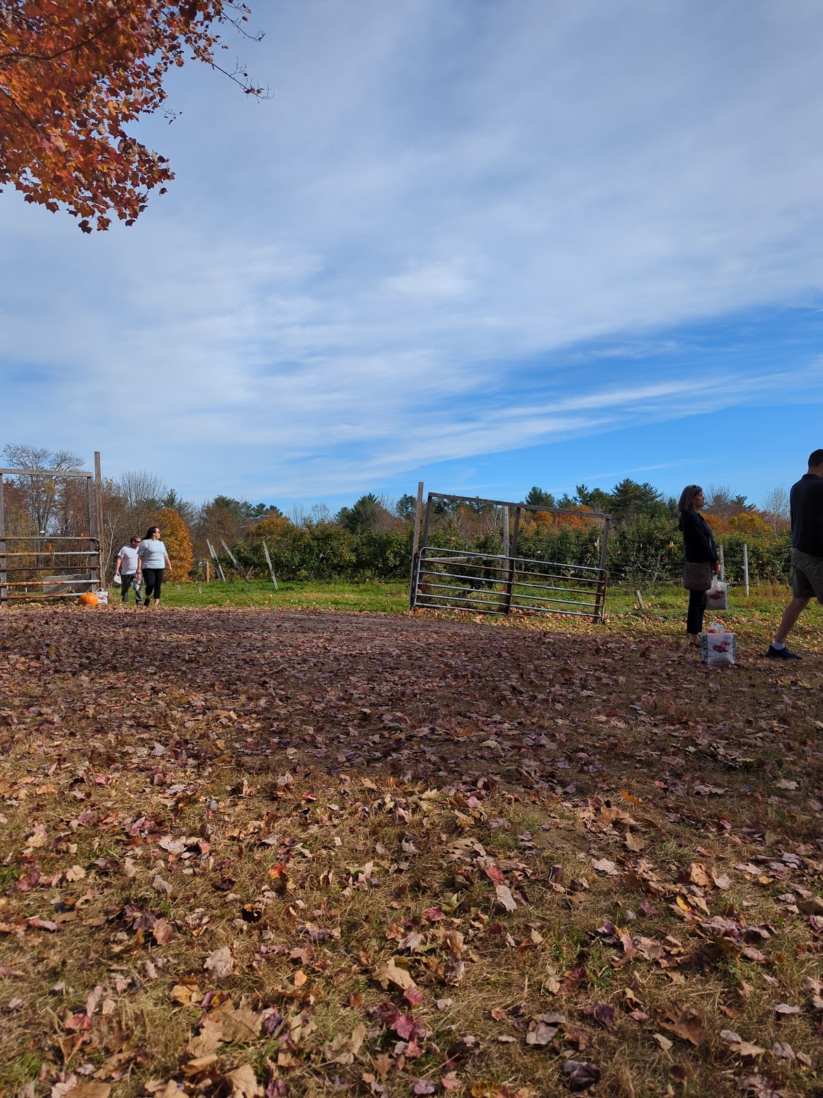 Boothby's Orchard and Farm apple orchard in Livermore, Maine
