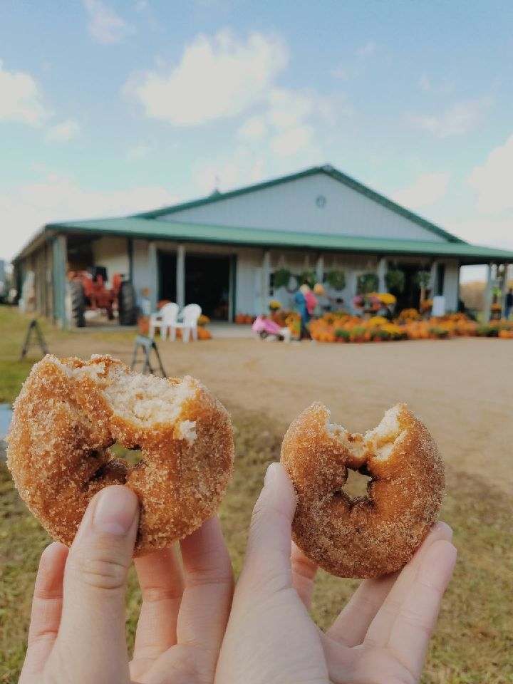 Held's Orchard apple orchard in Village of La Valle, Wisconsin