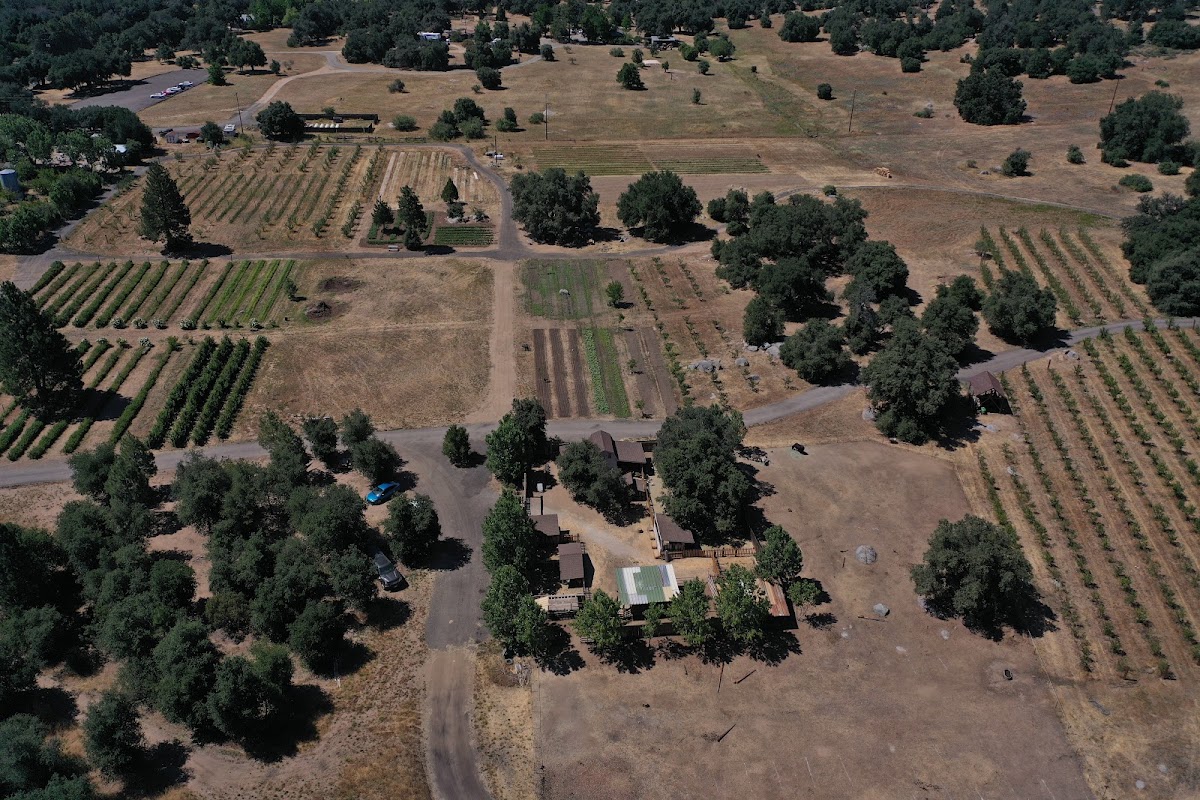 Julian Farm & Orchard apple orchard in Santa Ysabel, California