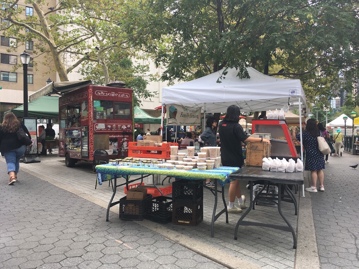 Carnegie Hill CSA apple orchard in New York, New York