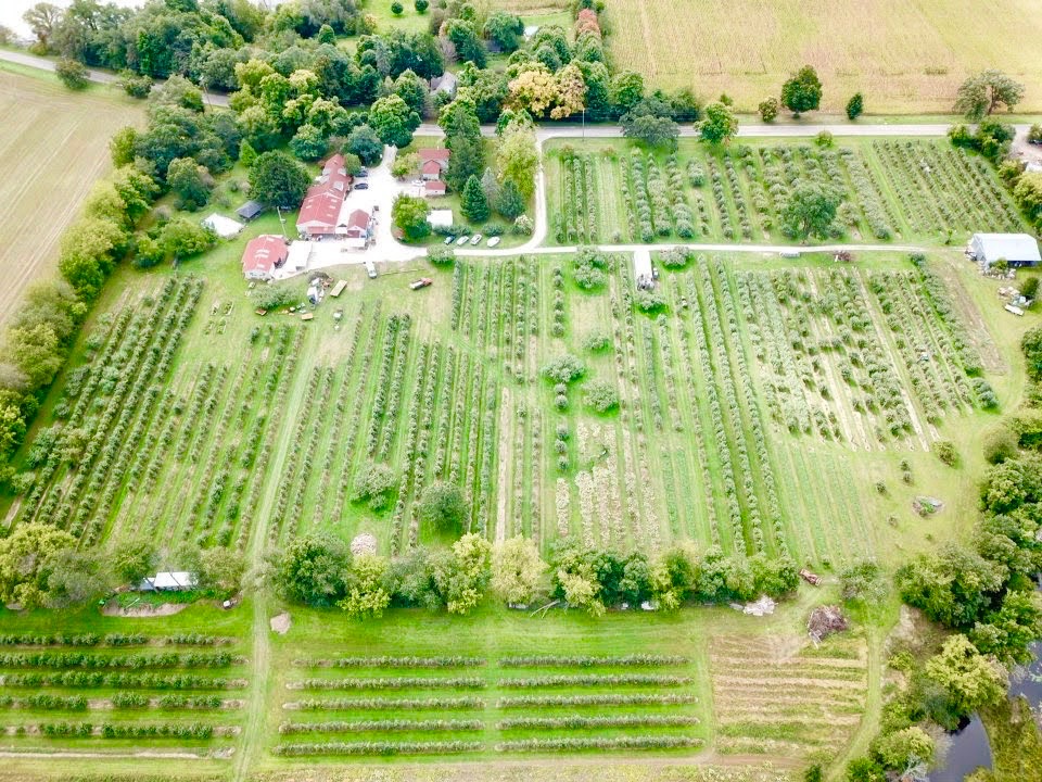 Hafs Road Orchard apple orchard in Village of Bloomfield, Wisconsin