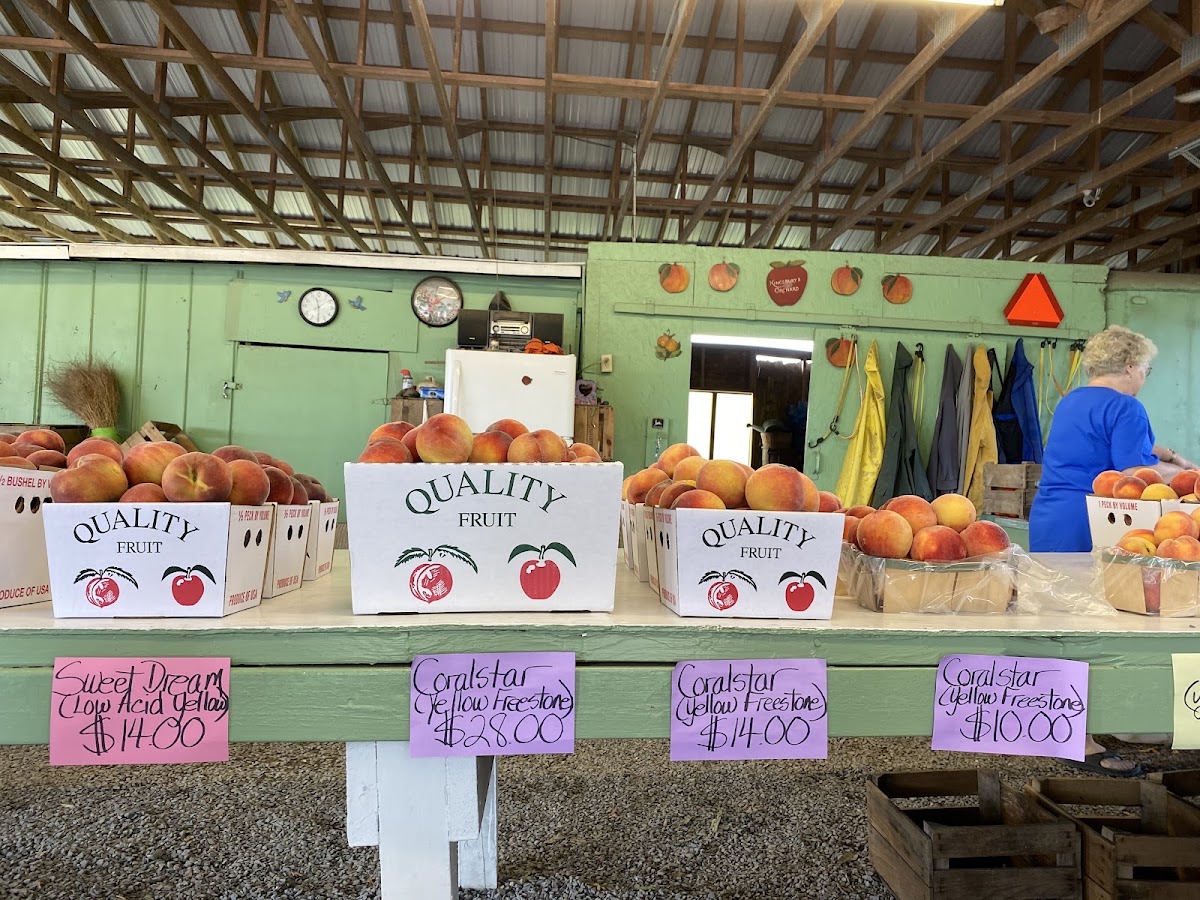 Kingsbury's Orchard apple orchard in Dickerson, Maryland
