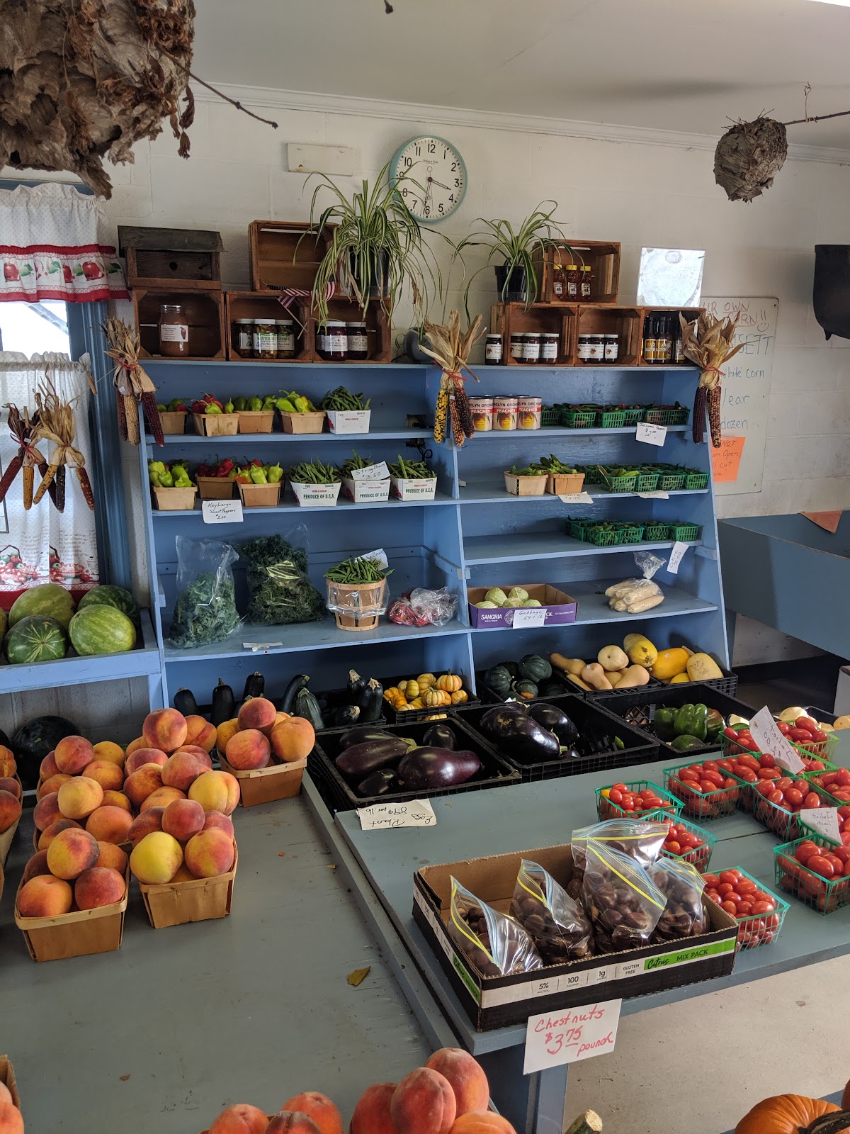 Carolyn Farm & Orchard apple orchard in Finksburg, Maryland
