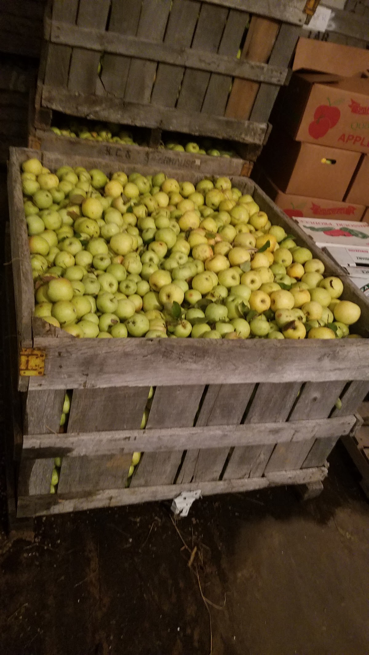 Joe Ringhausen Orchard & Apple House (II) - apple orchard in Jerseyville, Illinois