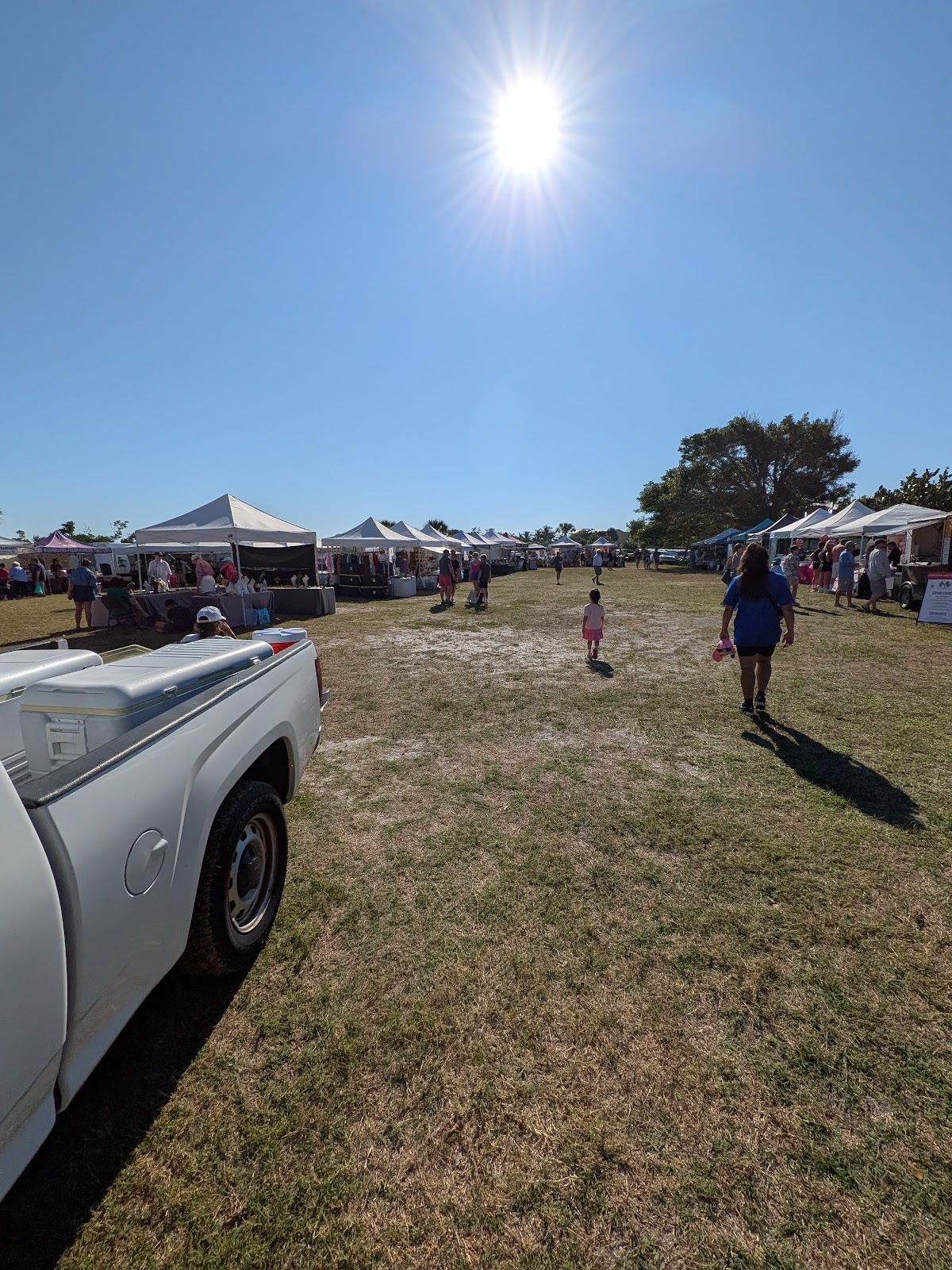 Boca Grande Farmers Market (CSA) apple orchard in Placida, Florida