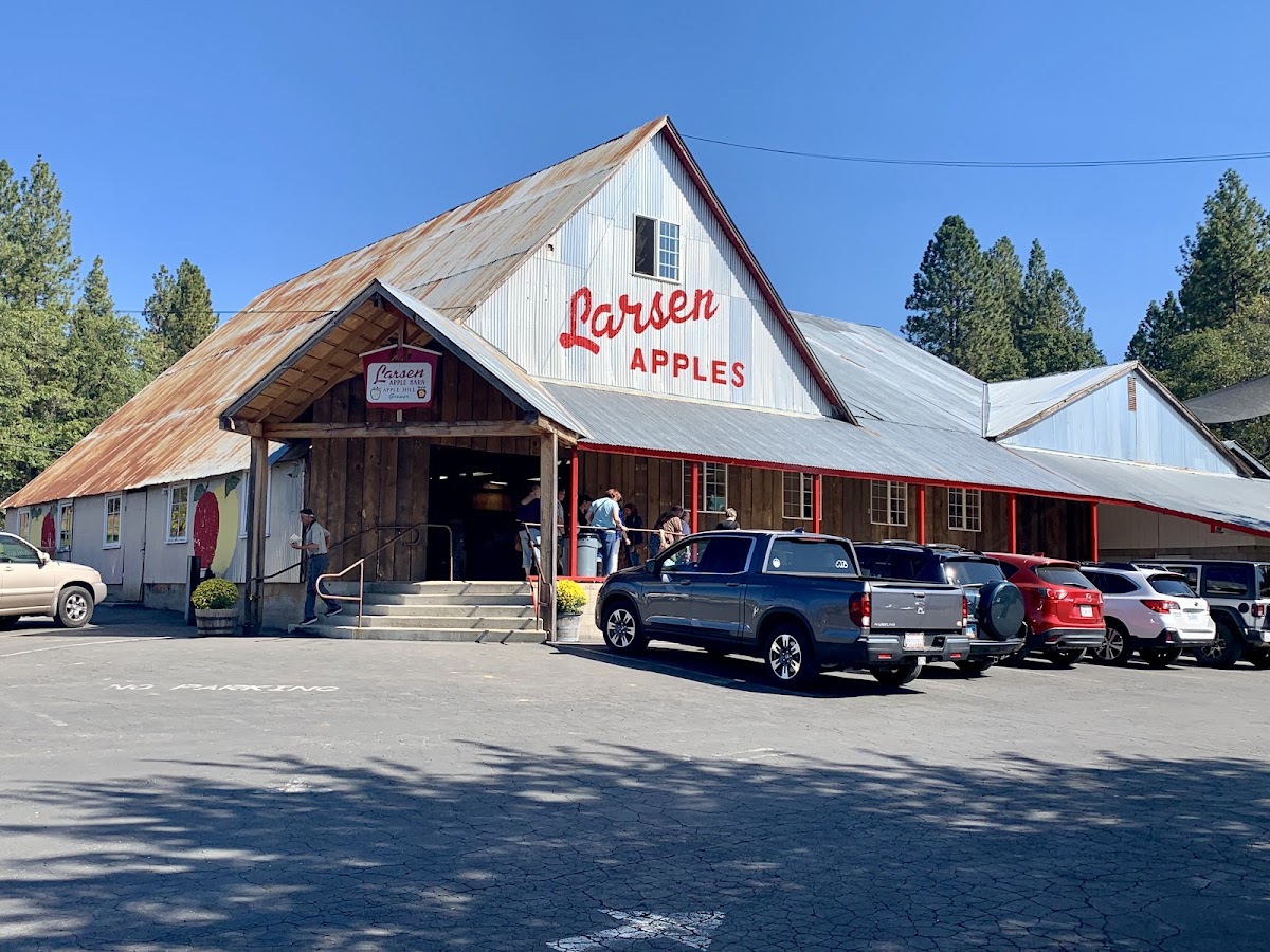 Larsen Apple Barn apple orchard in Camino, California