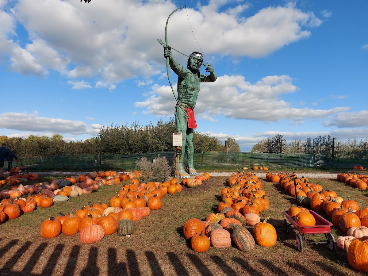 Curtis Orchard & Pumpkin Patch apple orchard in Champaign, Illinois
