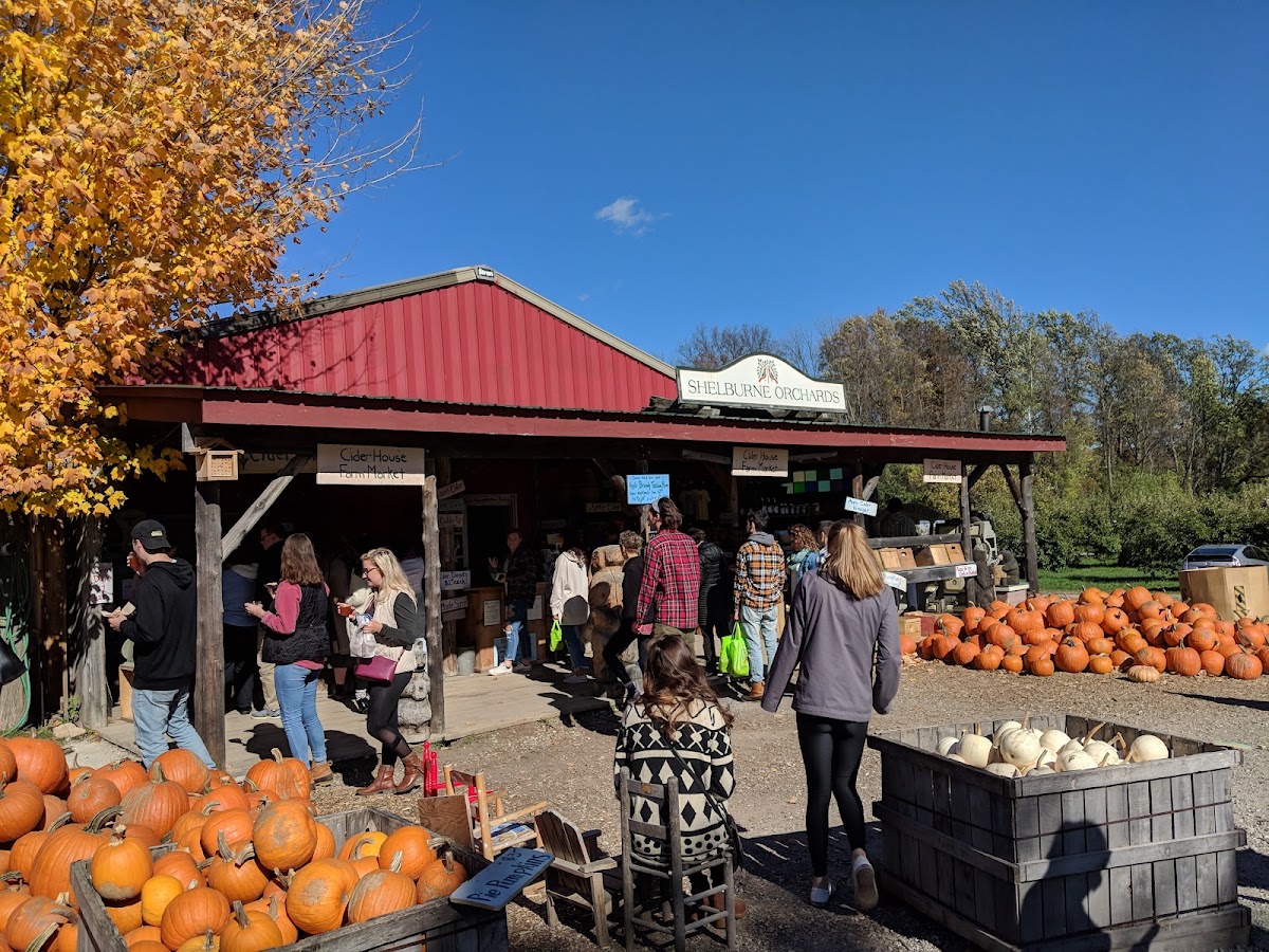 Shelburne Orchards apple orchard in Shelburne, Vermont