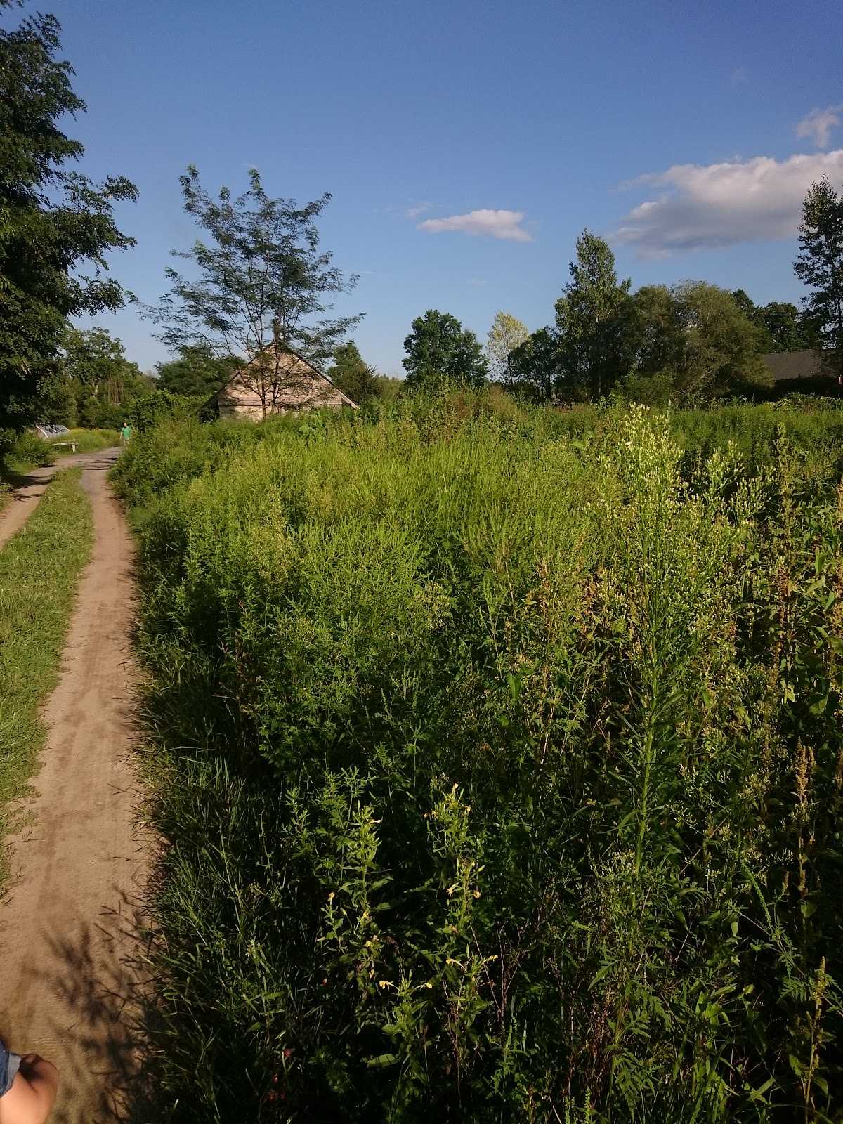 Huguenot St Farm apple orchard in New Paltz, New York