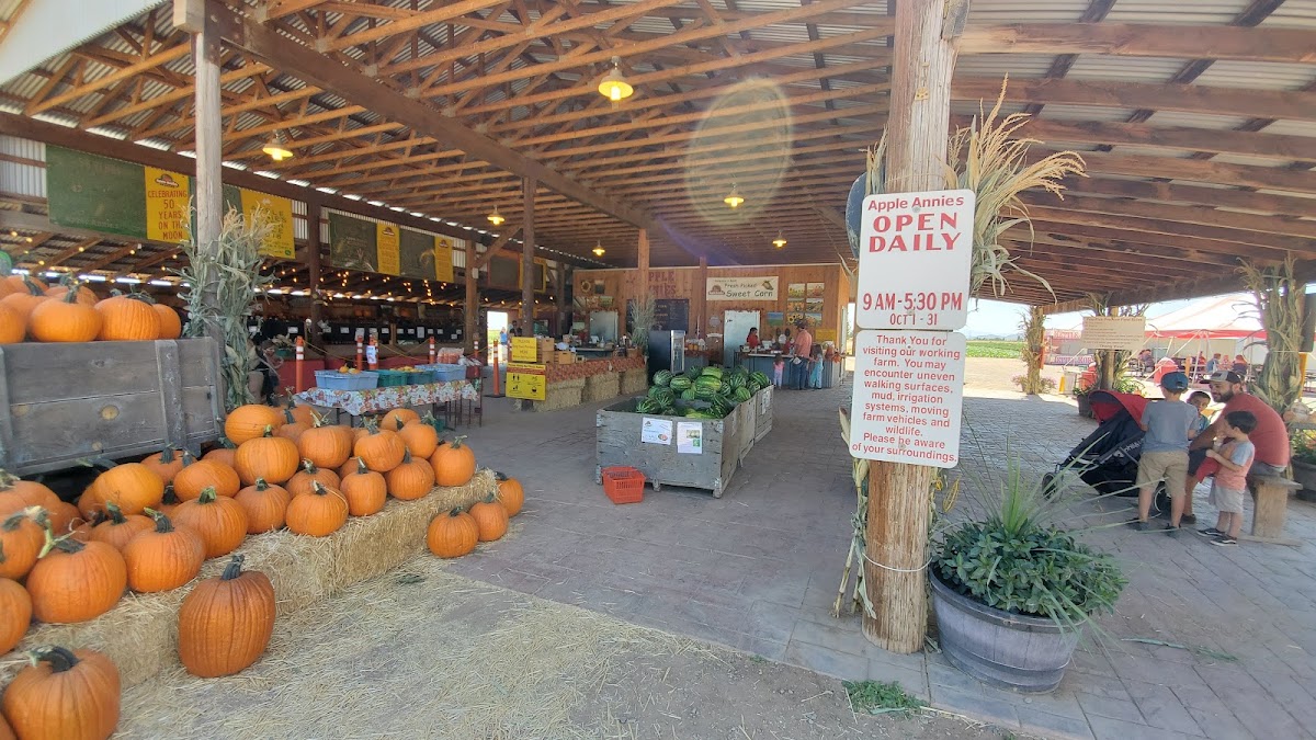 Apple Annie's Produce and Pumpkins apple orchard in Willcox, Arizona