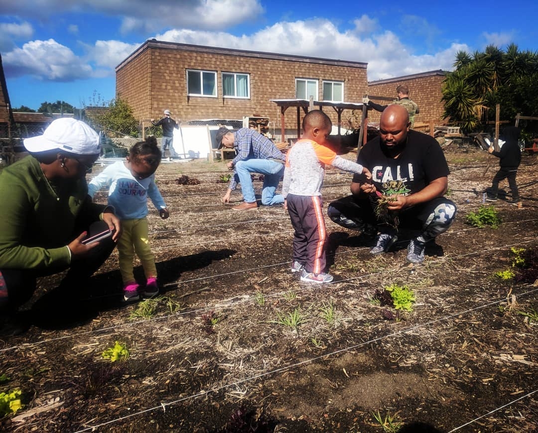 Community Roots Farm apple orchard in Oceanside, California
