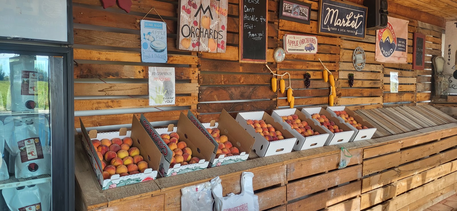 Triple M Orchards apple orchard in Olathe, Colorado