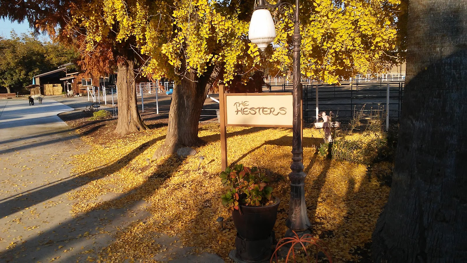 Hester Orchards, Inc. apple orchard in Visalia, California