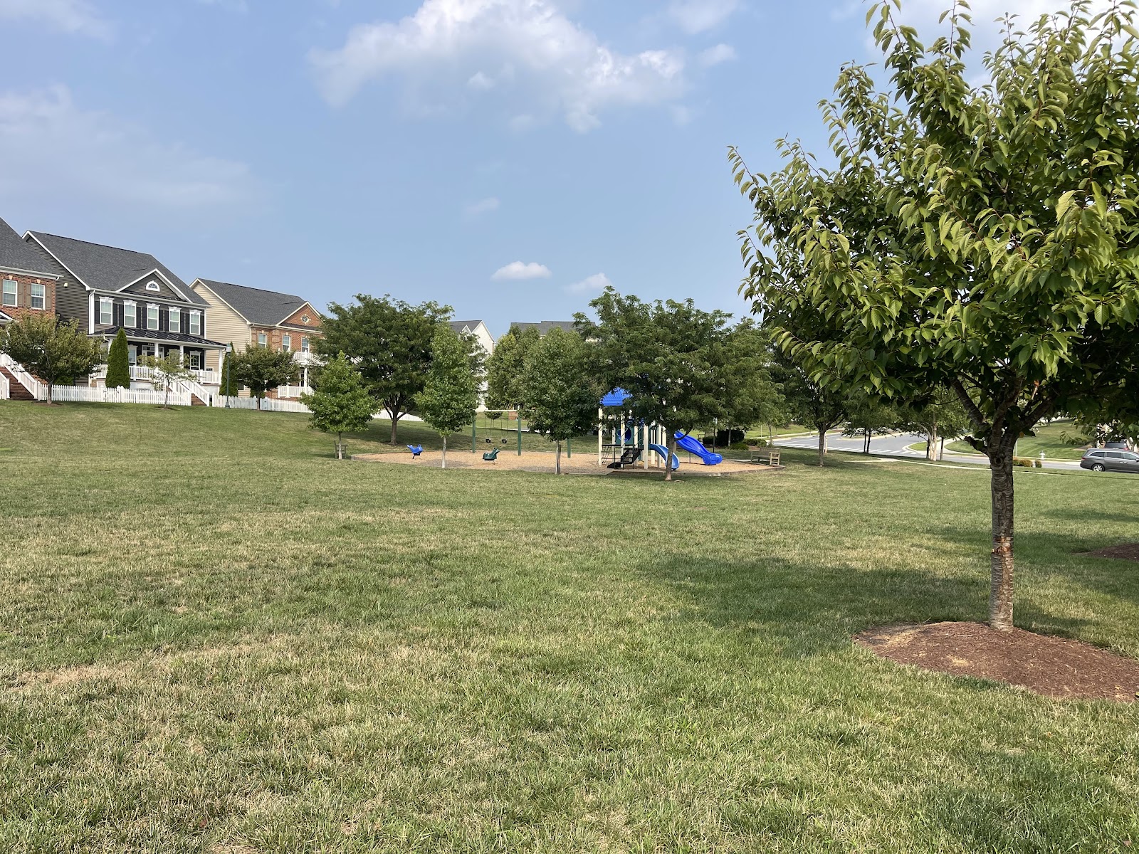 Apple Orchard Playground apple orchard in Germantown, Maryland