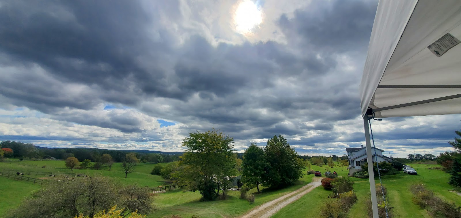 Willow Oaks Craft Cider and Wine apple orchard in Middletown, Maryland