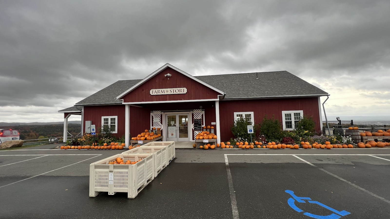 Apex Orchards apple orchard in Shelburne, Massachusetts
