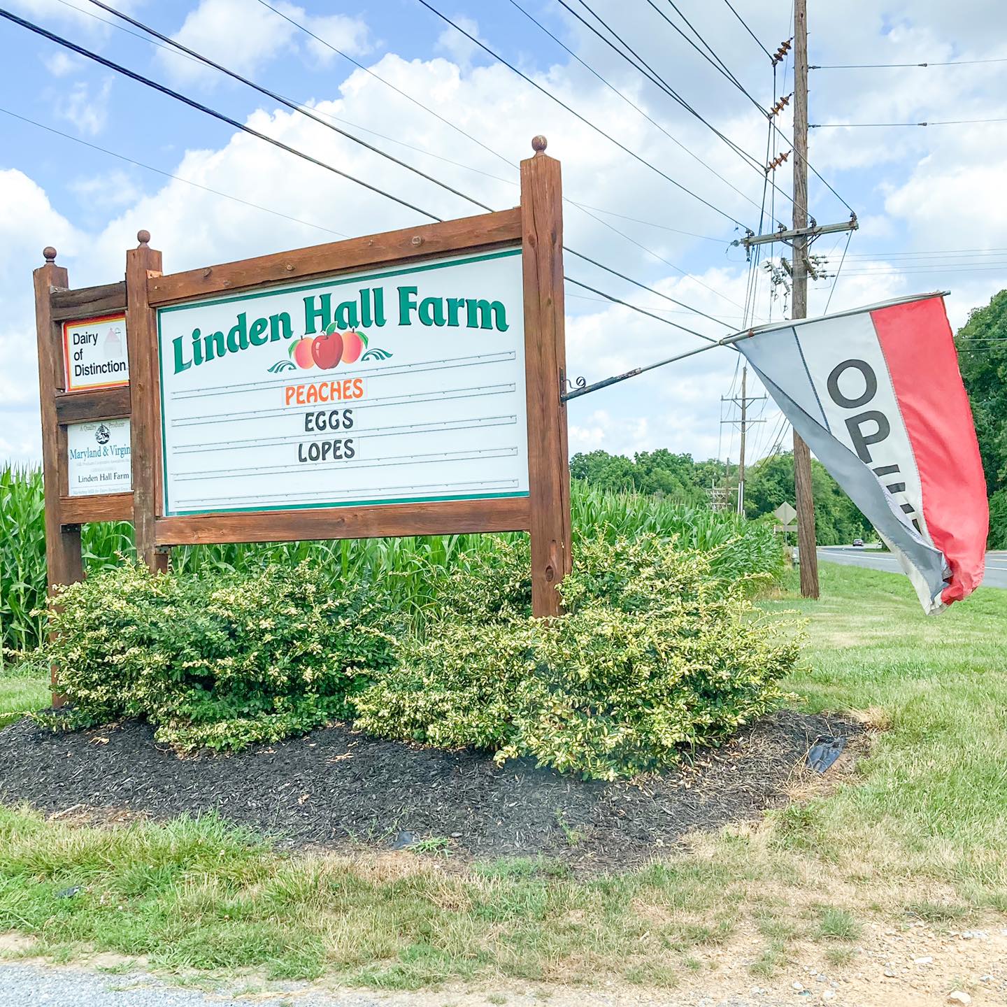 Linden Hall Farm & Orchard apple orchard in Hagerstown, Maryland