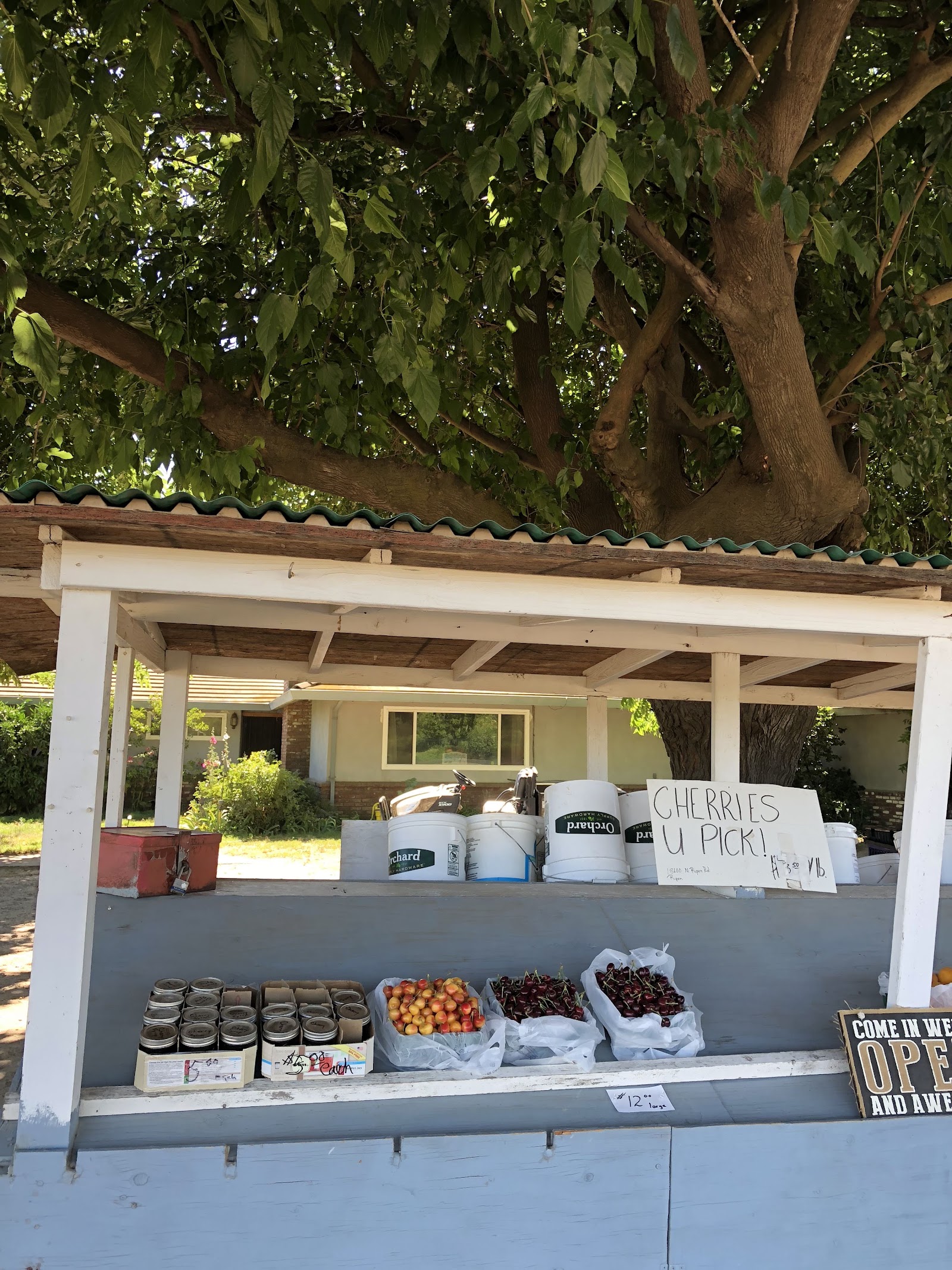 The Natural Orchards apple orchard in Ripon, California