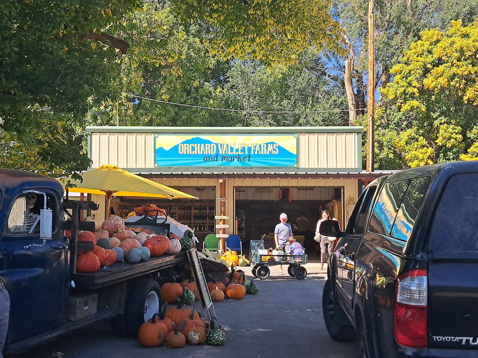 Orchard Valley Farms and Market apple orchard in Paonia, Colorado